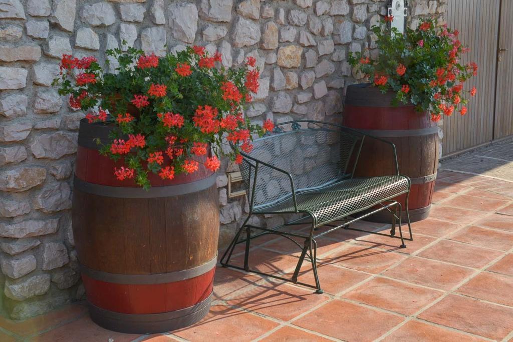 Agriturismo Kogoj Медеа Экстерьер фото